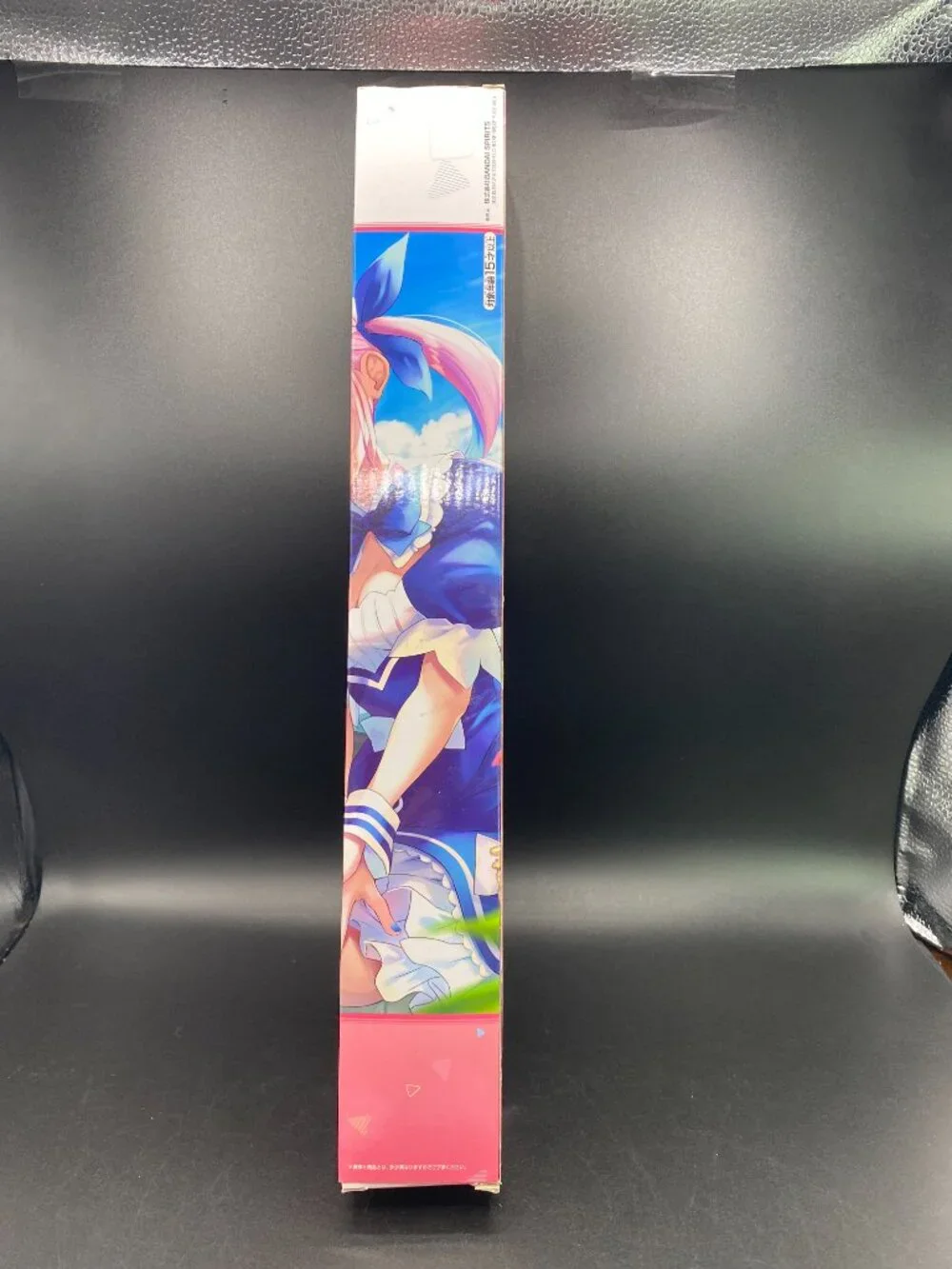 Bandai Spirits Hololive Minato Aqua Canvas-Style Tapestry A2 New